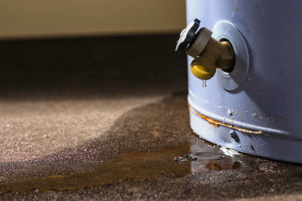Best Water damage contractors near me  in Carnegie, OK
