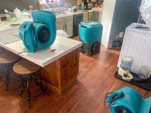 Best 24-hour water damage restoration  in Carnegie, OK