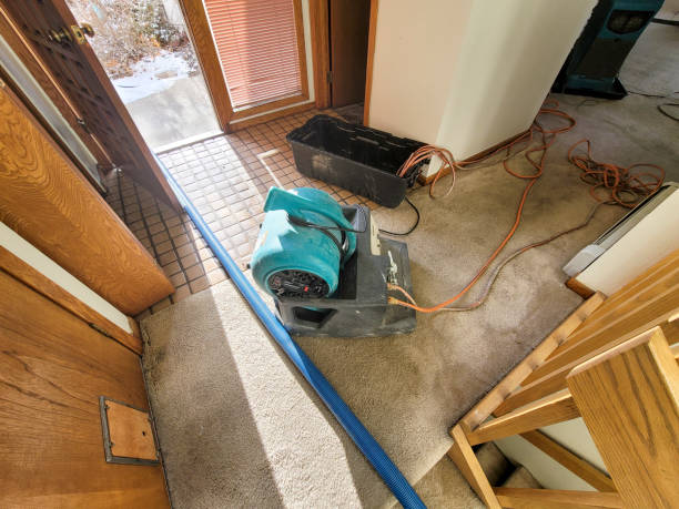 Best 24/7 water damage repair  in Carnegie, OK