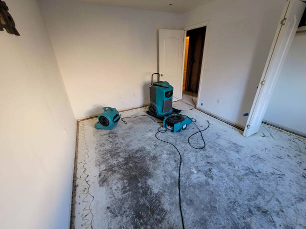 Best Water damage contractors near me  in Carnegie, OK