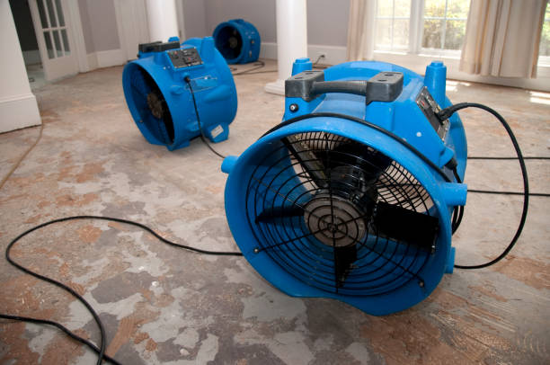 Best Ceiling water damage repair  in Carnegie, OK