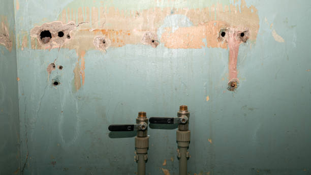 Best Fire Damage Restoration  in Carnegie, OK