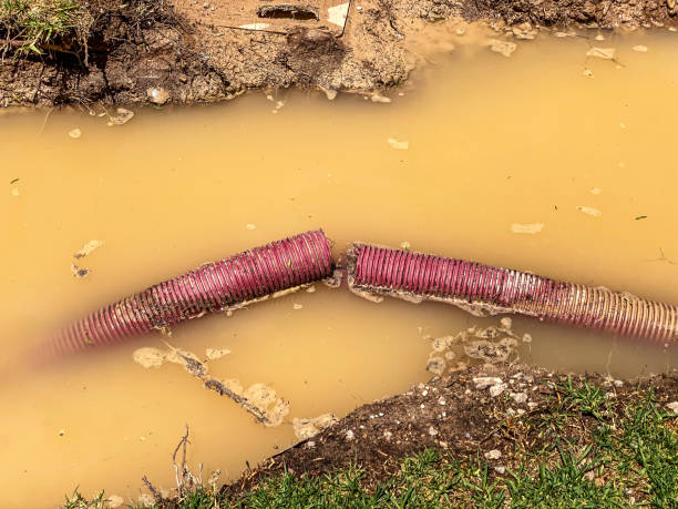 Carpet water damage restoration in Carnegie, OK